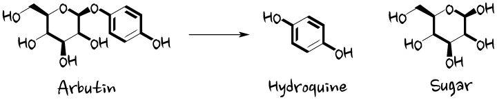 Arbutin - urinary antiseptic