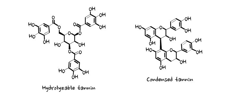 Astringent - Hydrolyzable tannins & Condensed tannins